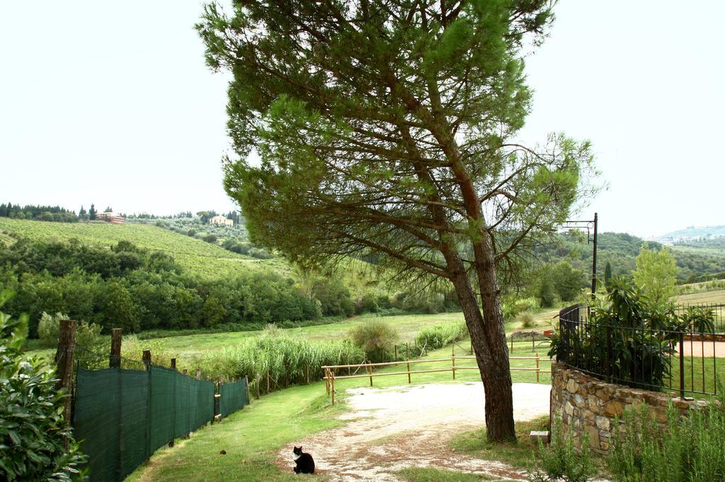 Villa La Gufaia Carmignano Exterior foto