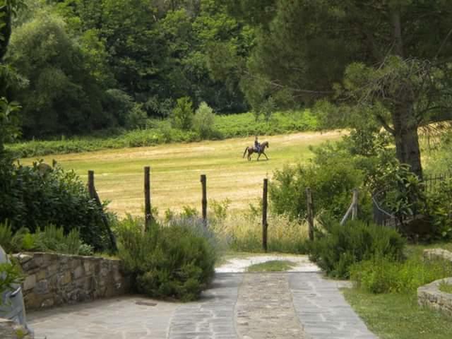 La Gufaia - Holiday House With Private Pool Near Florence Carmignano Exterior foto